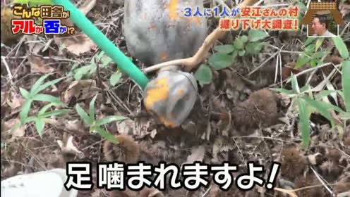 ef45d28900de139dc3cdf89a9f668f5d4fe2faea