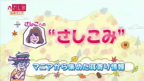 さし旅 11月24日 バラエティ動画視聴 Tvkko