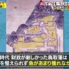 何だコレ!?×林修ドリル～日本のナゾ大調査SP～